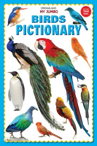 My Jumbo Birds Pictionary : Children Picture Book Book By Dreamland Publications