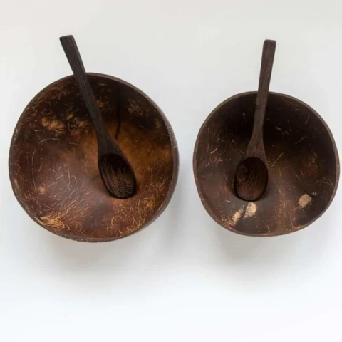 Jumbo Coconut Shell Bowl with Spoon