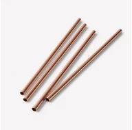 'Brass / Copper Straws With Cleaner - Pack of 2'