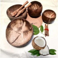 'Coconut Shell Bowl - Family Pack'